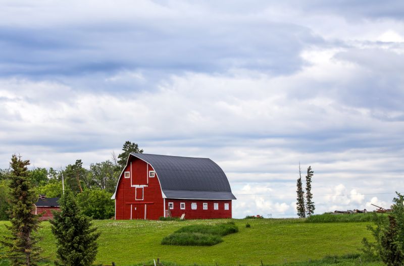 Barn Renovation in Alpharetta, GA