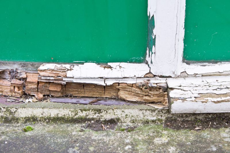Cost of Shed Repair — Cost of Shed Repair