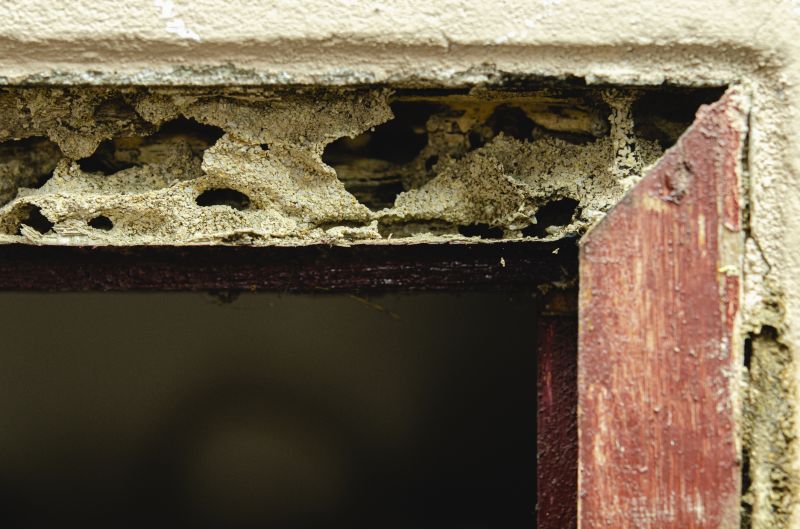 Cost of Shed Repair — Cost of Shed Repair