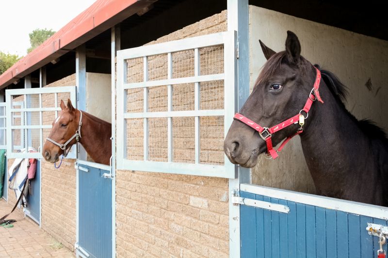 Horse Stall Repair in Olathe, KS