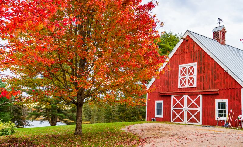 Pole Barn Construction in Kansas City, KS
