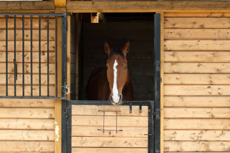 Stable Repair in Alpharetta, GA