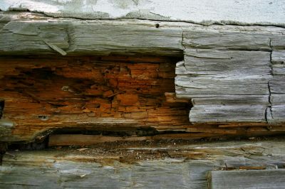 Wood Rot Repair Solutions For Outdoor Structures